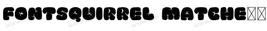 FontSquirrel Matche字体转换